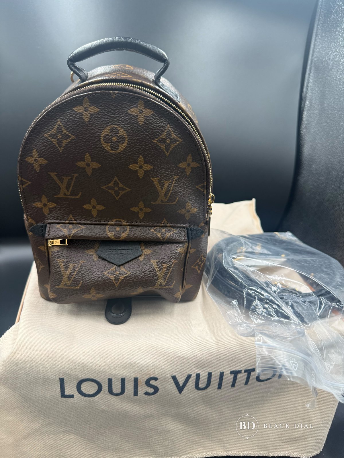 Louis Vuitton Palm Springs Backpack Mini