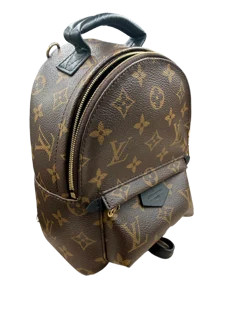 Louis Vuitton Palm Springs Backpack Mini