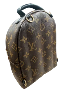 Louis Vuitton Palm Springs Backpack Mini