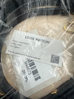 Louis Vuitton Palm Springs Backpack Mini