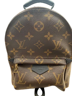 Louis Vuitton Palm Springs Backpack Mini