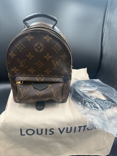 Louis Vuitton Palm Springs Backpack Mini