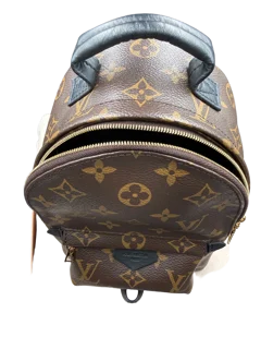 Louis Vuitton Palm Springs Backpack Mini